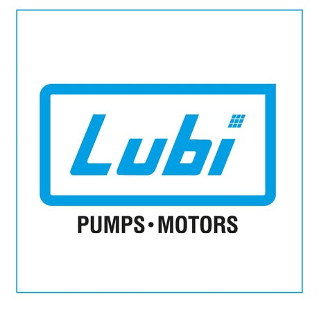 Lubi Electronics