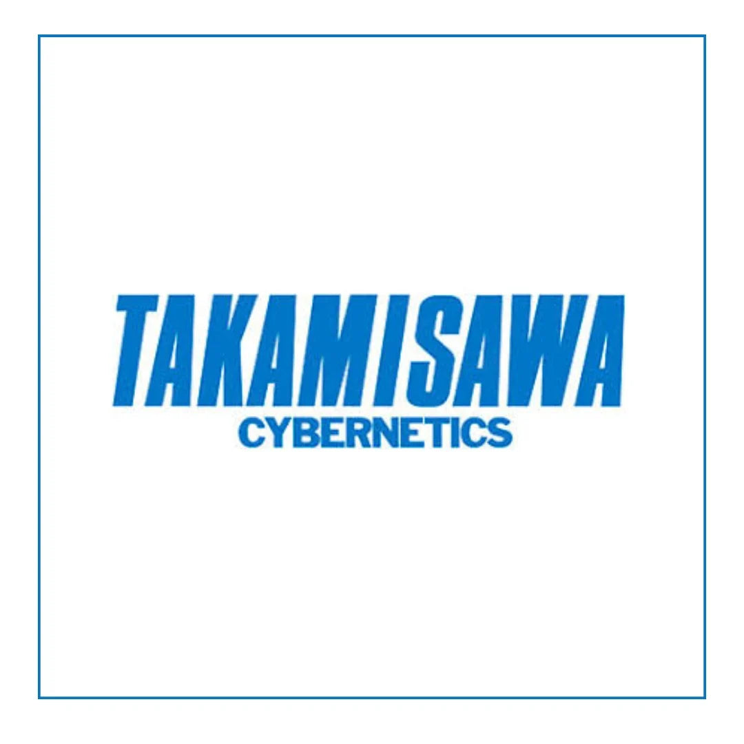 Takamisawa Cybernetics