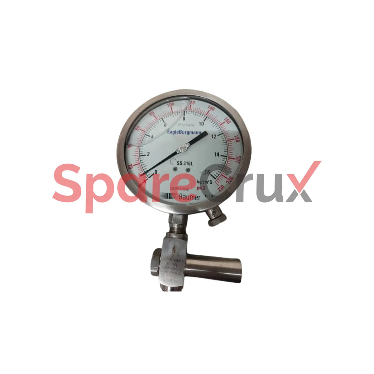 SS 316L | BAUMER | Pressure Gauge